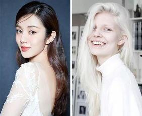 为什么明星不染发,探寻自然之美背后的坚持与态度