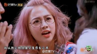 鬼侦探 明星大侦探,悬疑探案盛宴