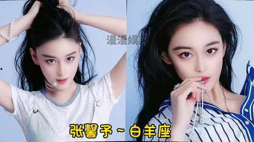 那个明星双子座,闪耀星空中的一抹灵动风采