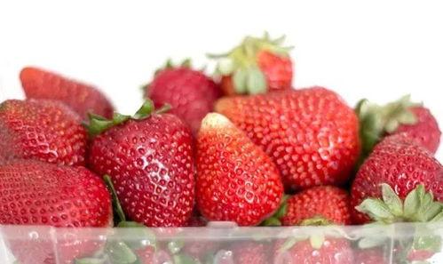 可爱小草莓吃瓜,草莓小精灵的甜蜜瓜界冒险记