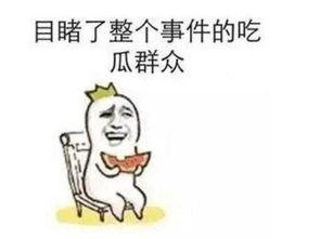 吃瓜事件图,揭秘网络舆论背后的真相与争议