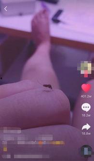 网红蚊子音,夏日里的独特旋律，唤醒你的夏日记忆