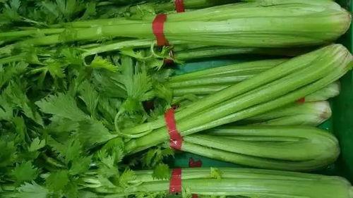 若瓜吃蛋芹菜,探寻健康饮食新风尚