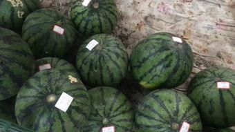 郑州工厂吃瓜,清凉一夏，欢乐无限