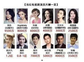 论明星高片酬,背后的原因与影响