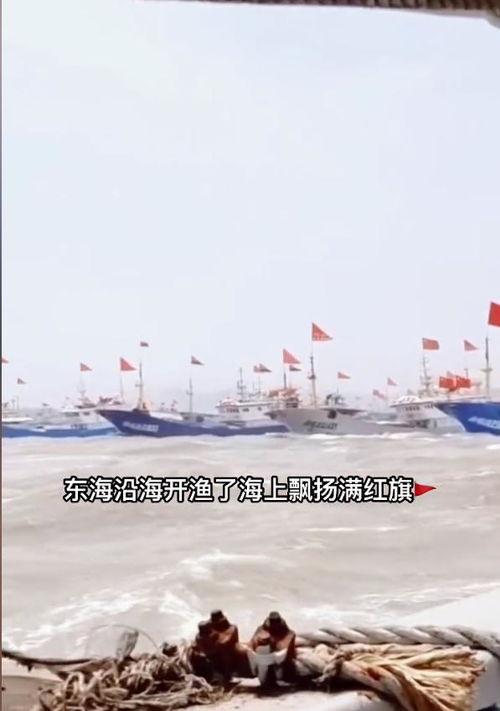 浙江吃瓜船,探寻“吃瓜船”的独特风味