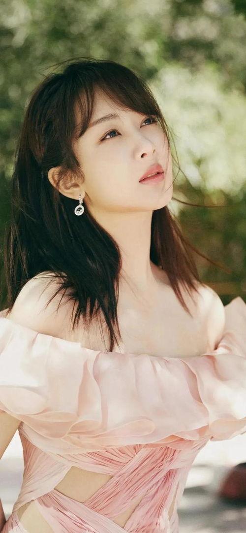 带美美的明星,盘点那些闪耀舞台的璀璨星辰