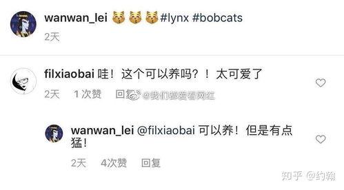 网红主播绾绾微博,揭秘网红主播的幕后生活