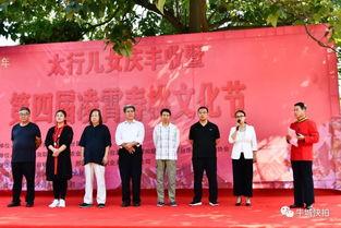 河北邢台桥西区今日头条,邢台桥西新鲜事速览