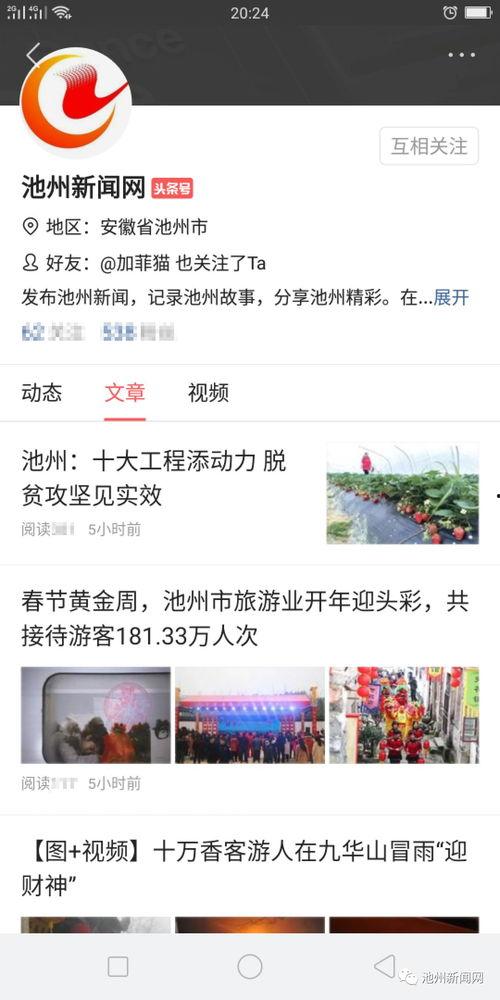 安徽池州市新闻头条号,聚焦池州发展动态，共话城市新篇章