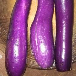 脚痛可以吃茄瓜吗,缓解不适助康复