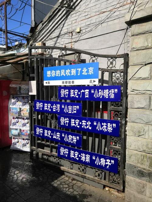 网红路牌苏州,探寻古城韵味，感受江南风情