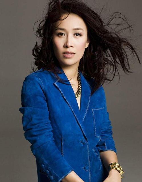 东北女明星 岚,闪耀银幕的东北之光