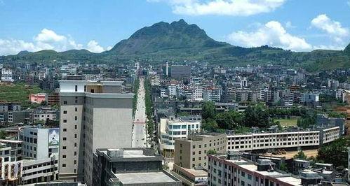 永嘉县桐木镇新闻头条,聚焦乡村振兴新篇章