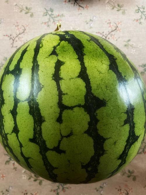 演出会吃瓜,吃瓜群众围观大揭秘！