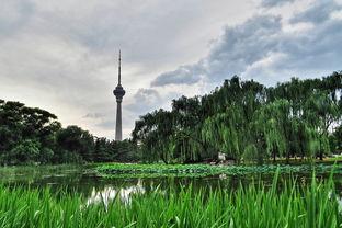 今日头条美丽的玉渊潭,赏花游园指南