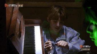 小贾吃瓜密逃,揭秘娱乐圈幕后故事