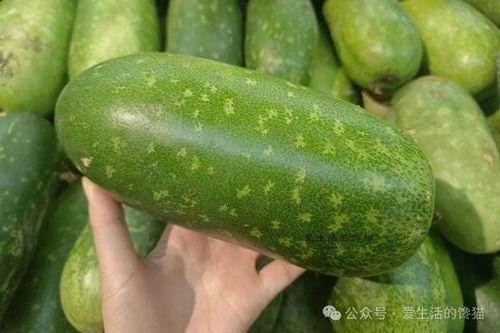 春天有什么瓜可吃